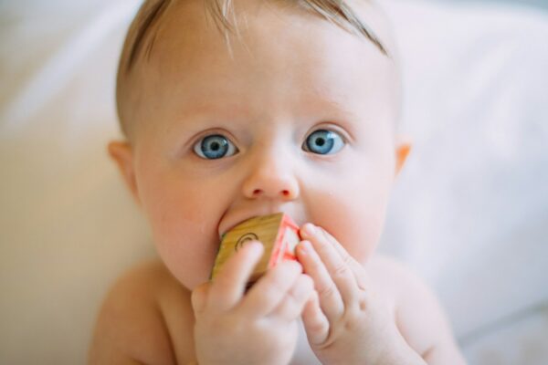 selective focus photography of baby holding wooden cube