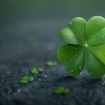 ai generated, four-leaf clover, clover