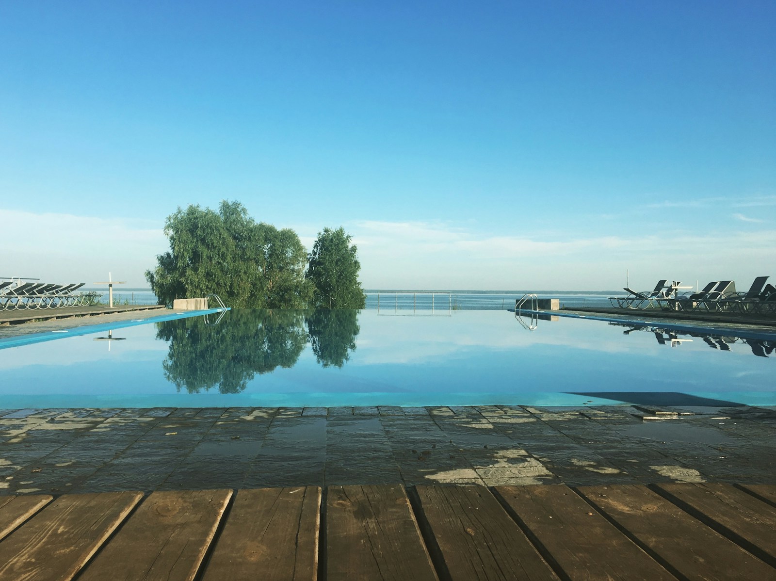 pool near tree during daytime