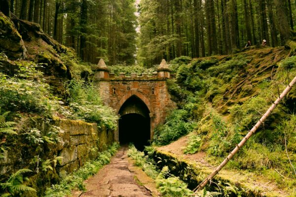 gray concrete tunnel under green trees