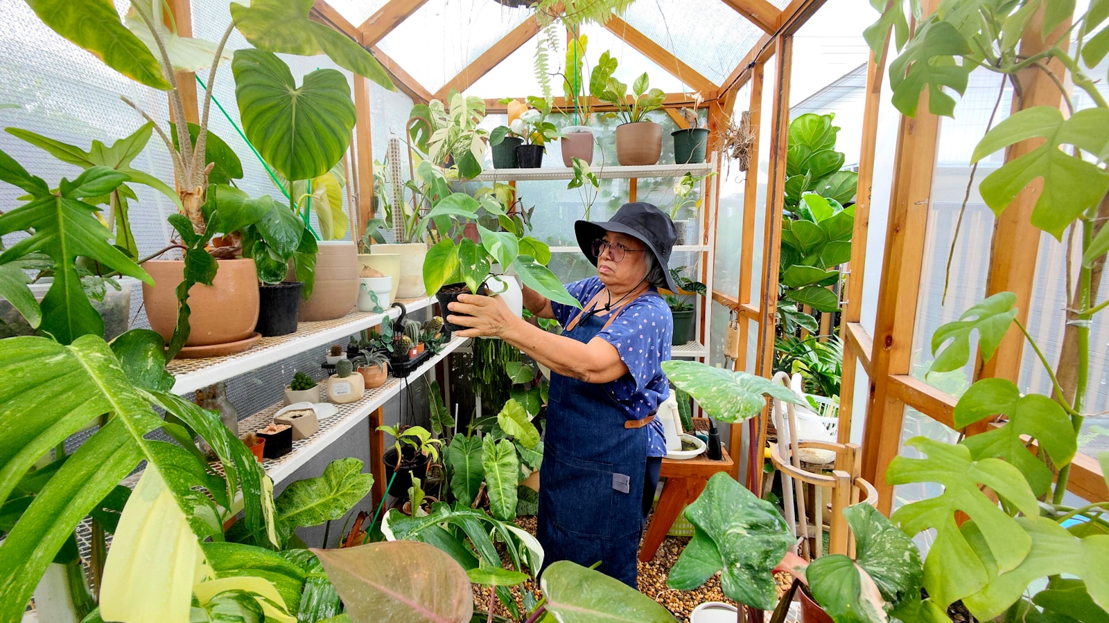 a person in a greenhouse