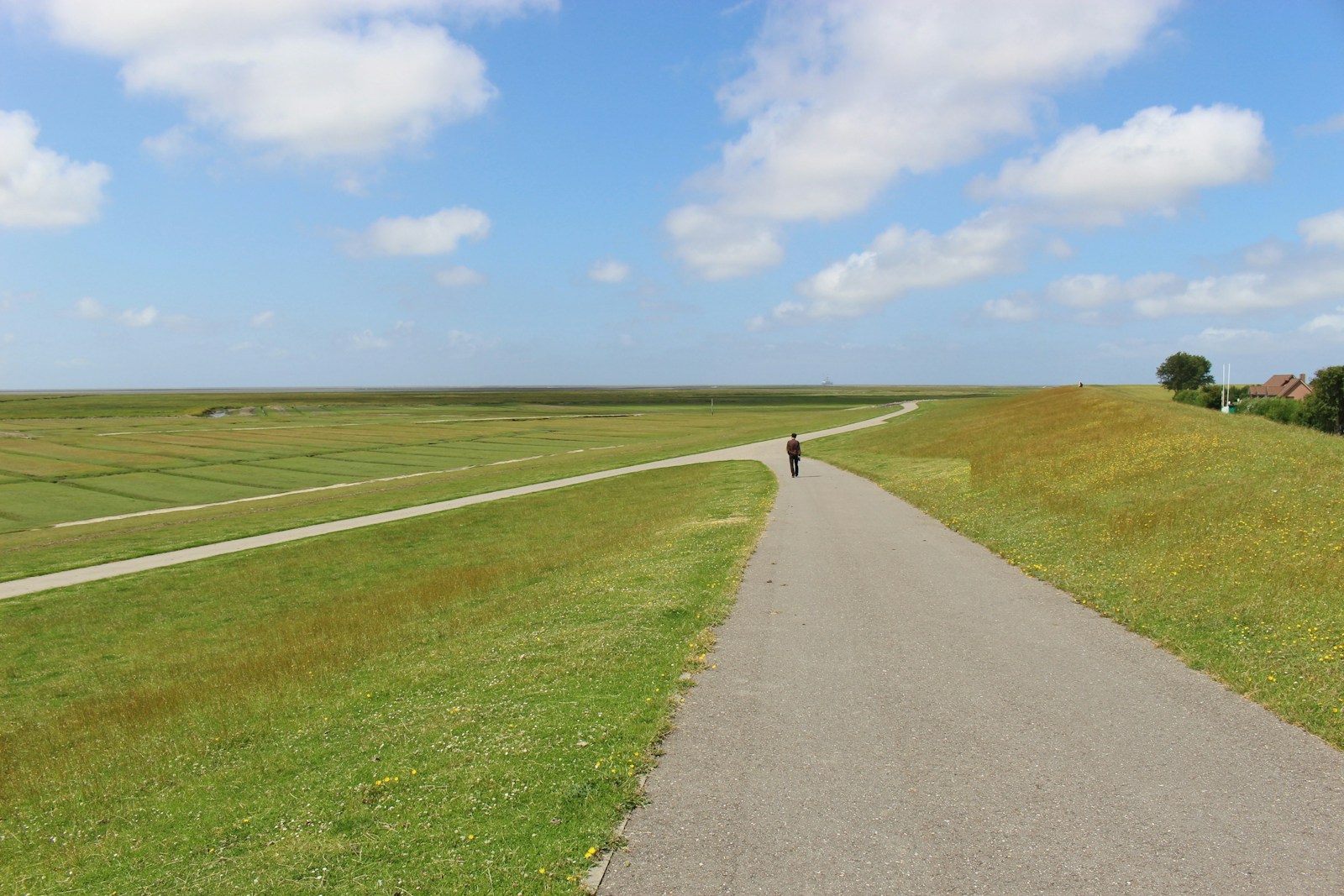 person walking on road