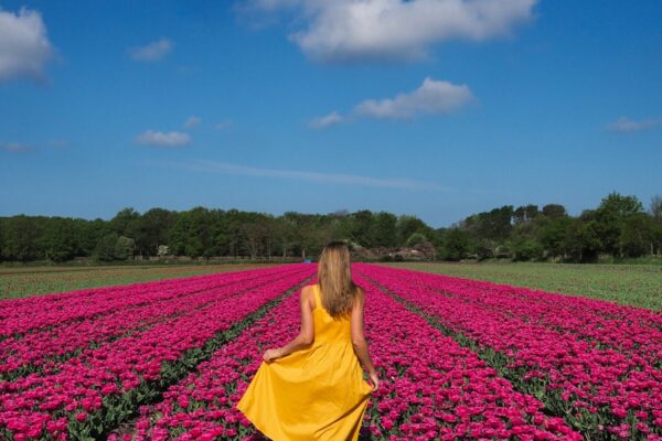 A woman in a yellow dress walking through a field of flowers