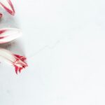 white and red candy cane