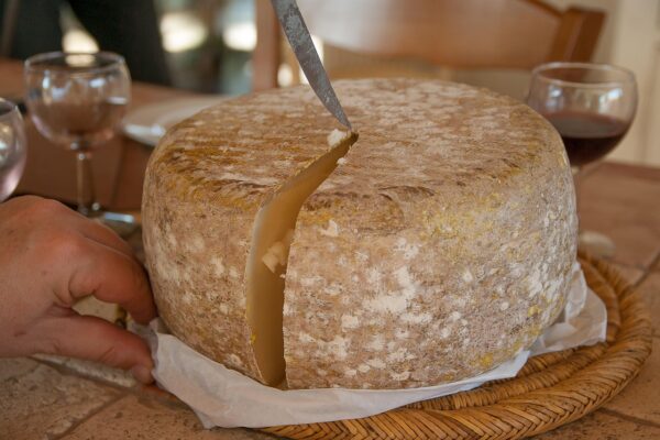 cheese, sheep, to cut, cheese factory, milk, power