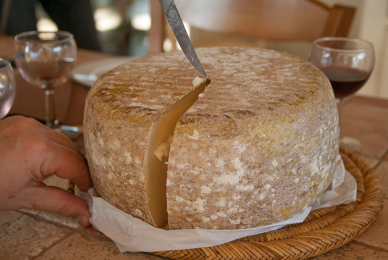 cheese, sheep, to cut, cheese factory, milk, power