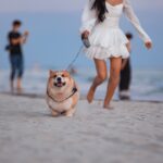 a woman in a white dress walking a dog on a beach