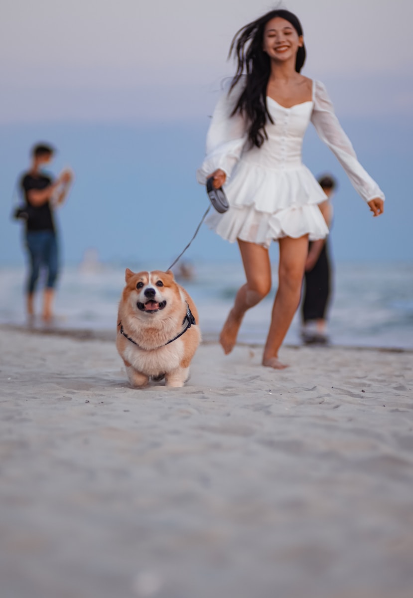 a woman in a white dress walking a dog on a beach