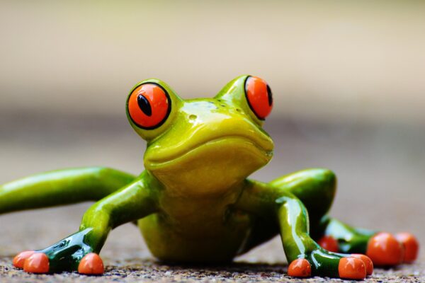 frog, fun, figure, cute, animal, nature, green, frog eyes, lurk