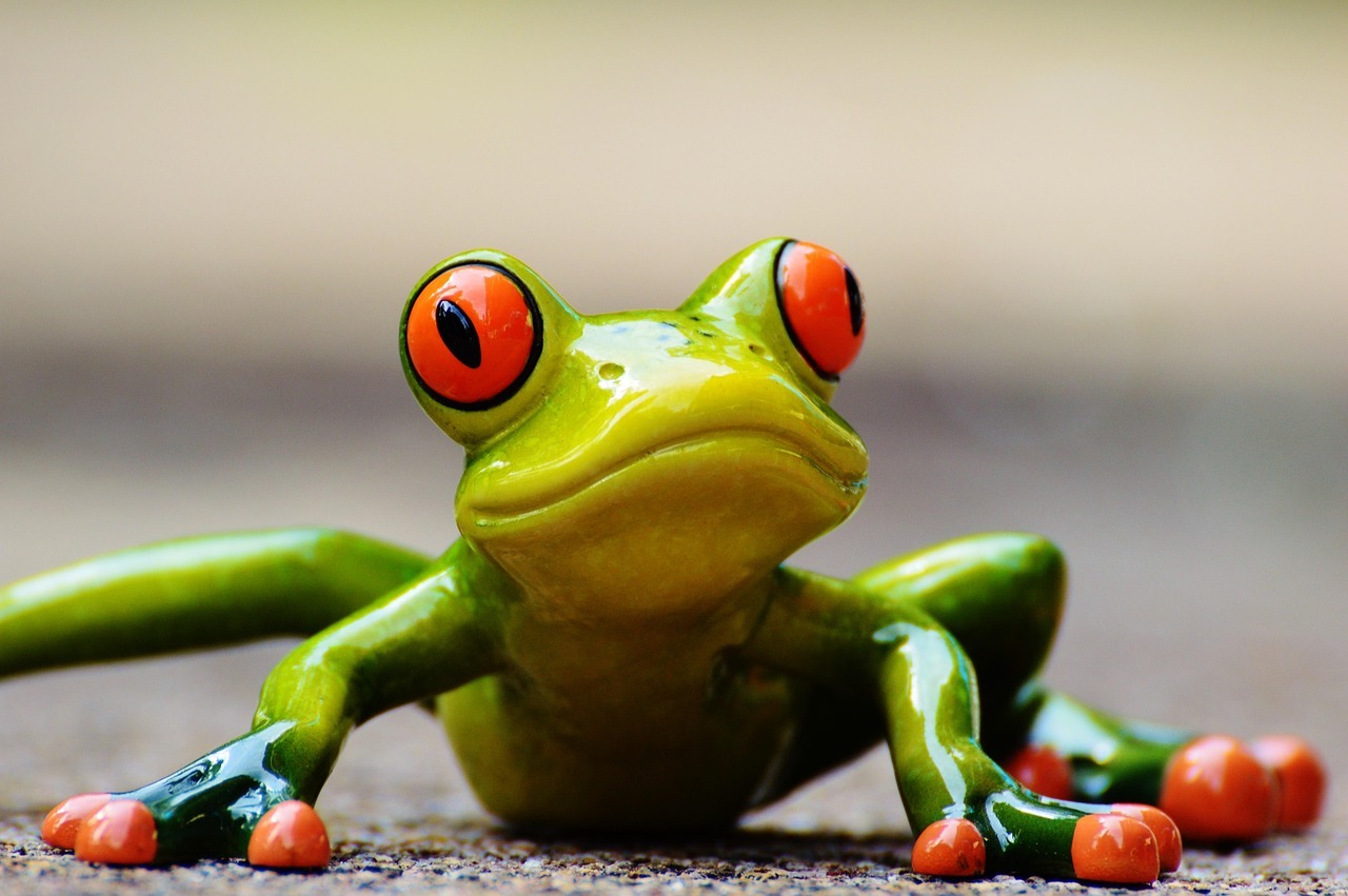 frog, fun, figure, cute, animal, nature, green, frog eyes, lurk