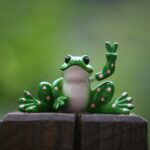 a green frog sitting on top of a wooden fence