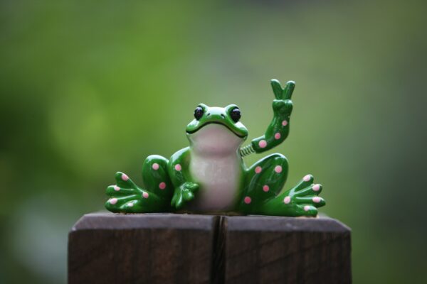 a green frog sitting on top of a wooden fence