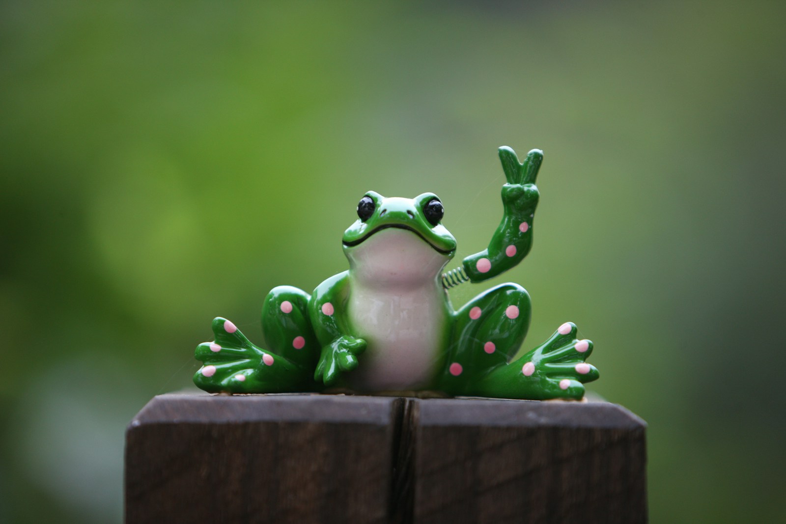 a green frog sitting on top of a wooden fence