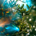 closeup photo of green plant